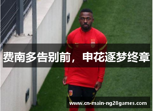 费南多告别前,申花逐梦终章 费南多告别前,申花逐梦终章