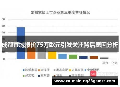 成都蓉城报价75万欧元引发关注背后原因分析