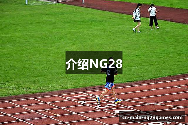 介绍NG28